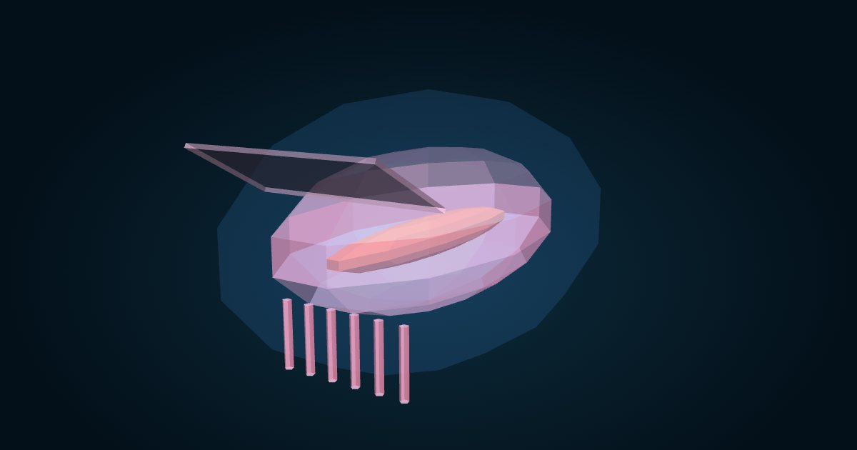 Modelo 3D: Holoturia nadadora (Enypniastes eximia), en el juego Cachalot